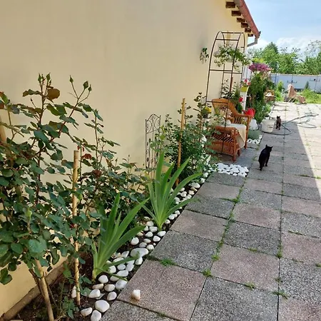 Soul Bela Crkva (Banat)