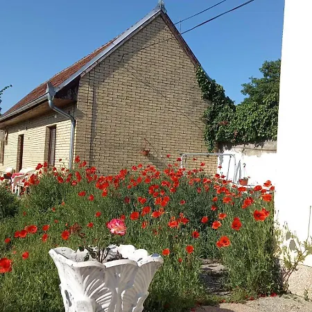 Pensionat Soul Bela Crkva (Banat)